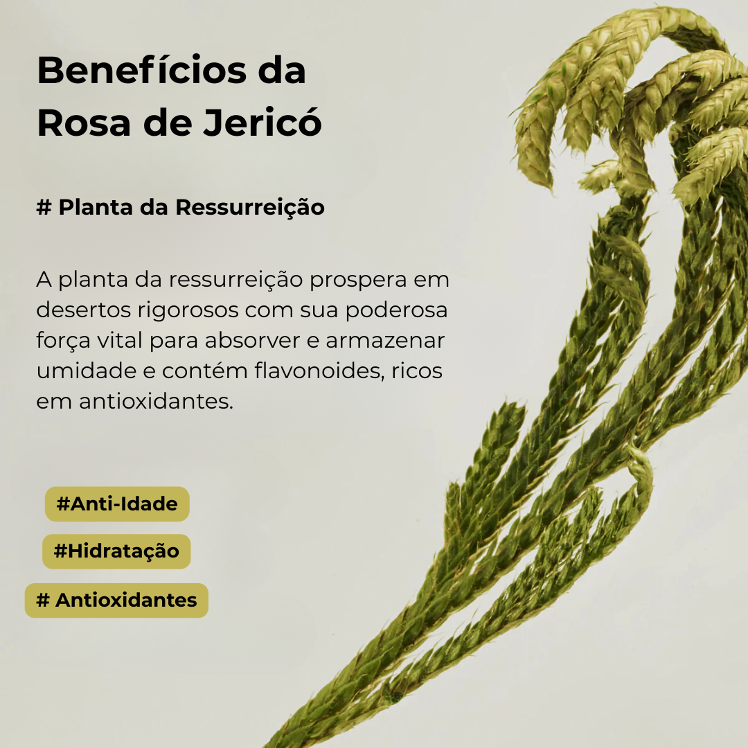 Máscara de Olhos Abib Collagen Jericho Rose